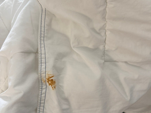 萨凡纳机场普勒拉昆塔温德姆套房酒店主图