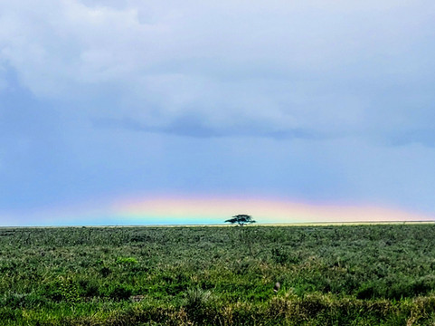 Wild Media Safaris-莫西必去景点