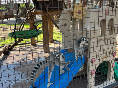 Safari Zoological Park-Caney必去景点