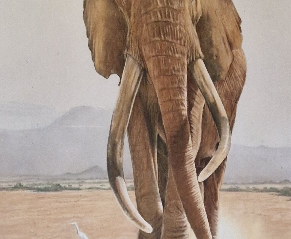 Enjoy Collection Tours and Safaris-马林地必去景点