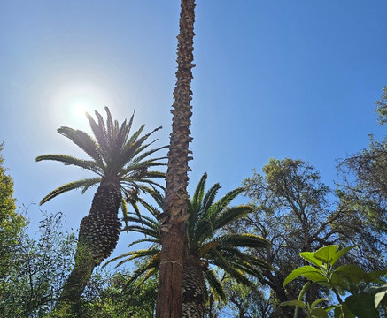Plaza Prat-Copiapo必去景点