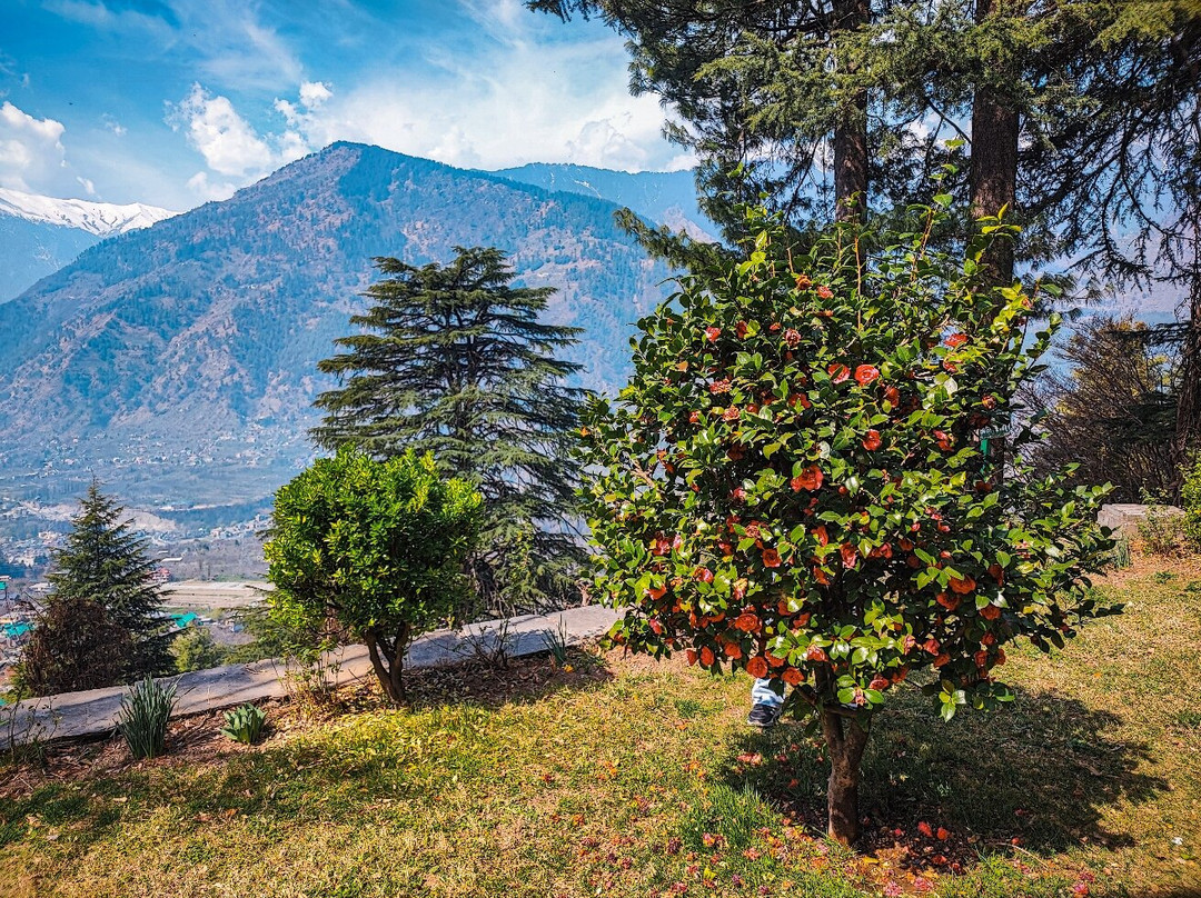 International Roerich Memorial Trust-默纳利必去景点