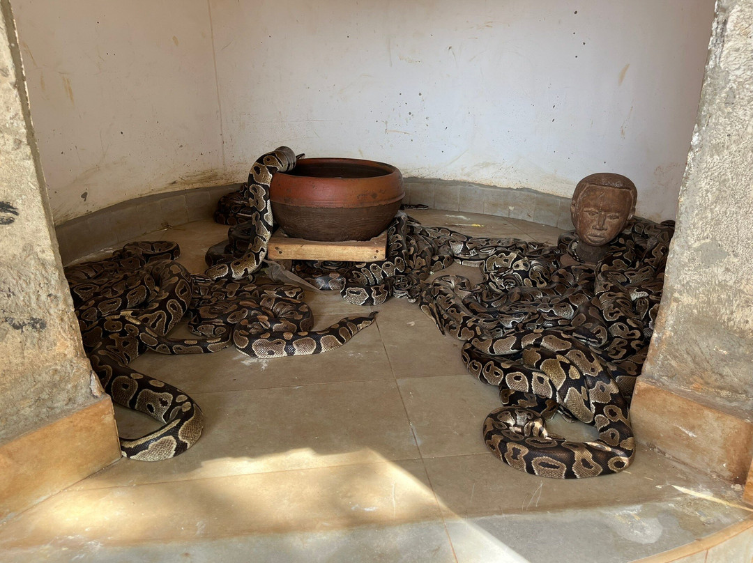 Temple des Pythons-Ouidah必去景点