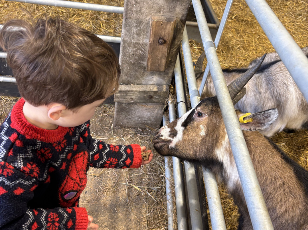 Thrift Farm-Whaddon必去景点