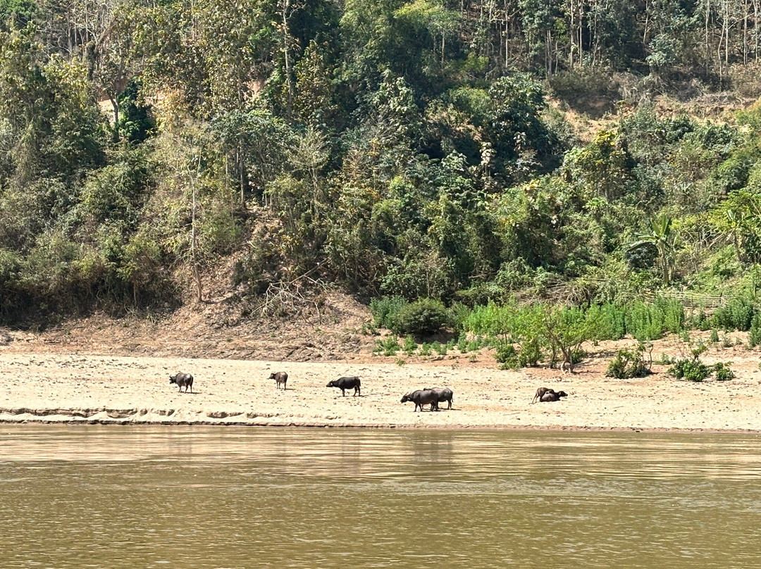 Mekong Lover Cruise-琅勃拉邦必去景点