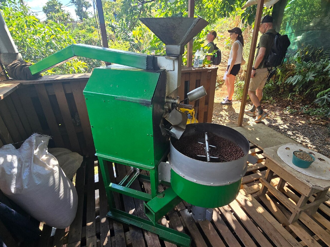 TIO JOSE COFFEE TOUR-葛雷西亚必去景点
