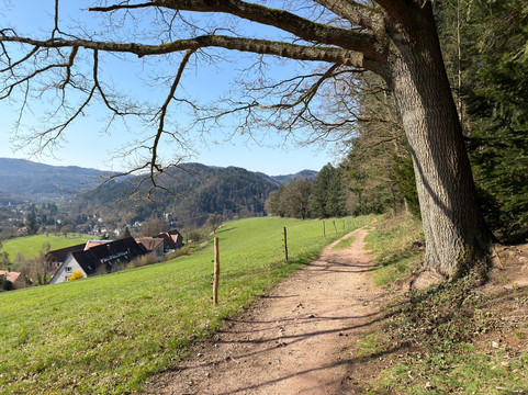 Panoramaweg-巴登巴登必去景点