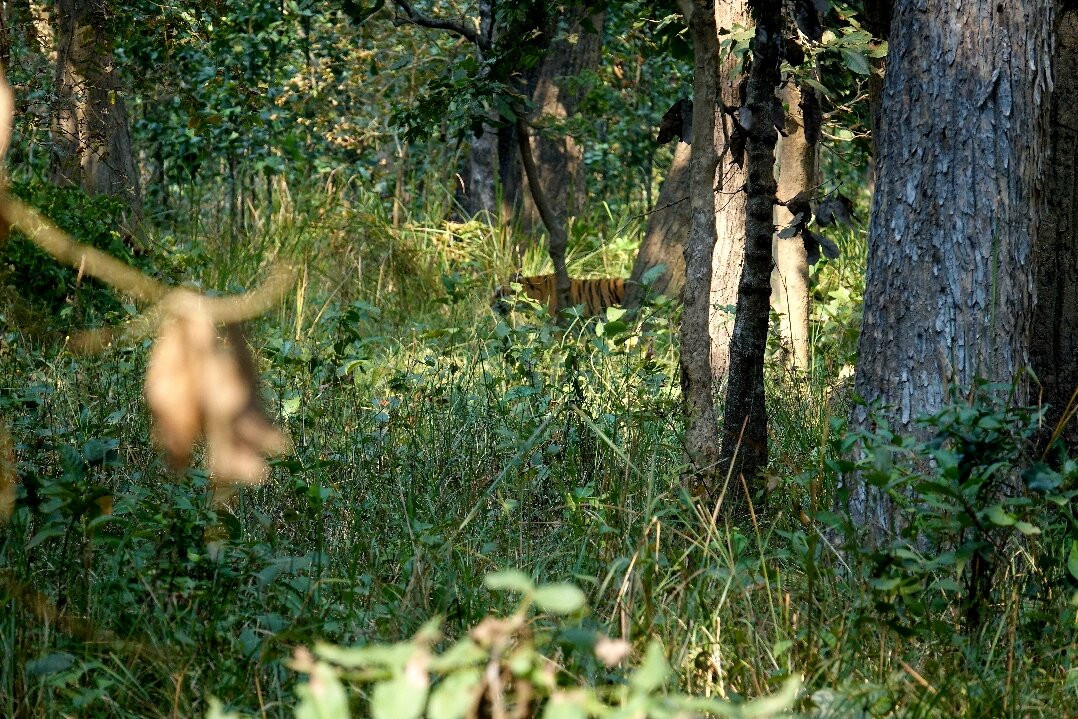 巴尔迪亚狂野星球酒店主图