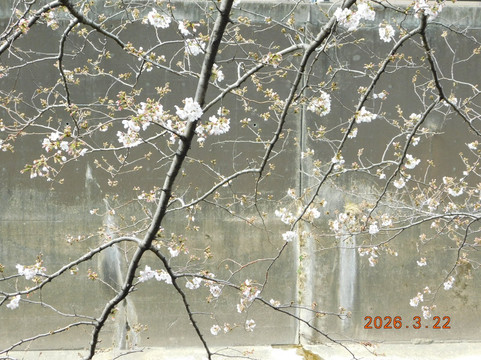 Shakuji River Green Road-板桥区必去景点