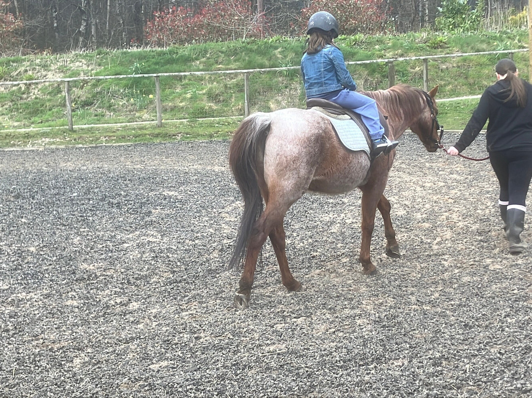 Matlock Farm Park-马特洛克必去景点