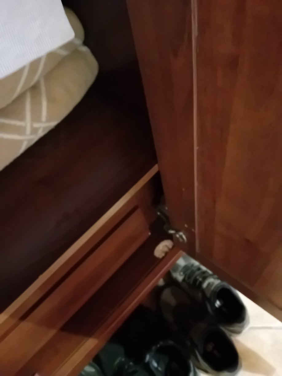 卡菲欧蕾酒店-官方