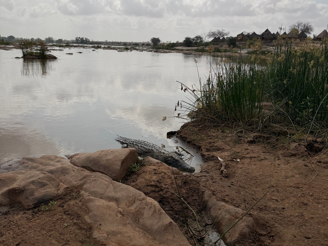 Click Safari Kenya-瓦塔木必去景点