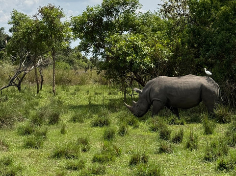 Jinja Bike Tours And Safaris-Buikwe必去景点