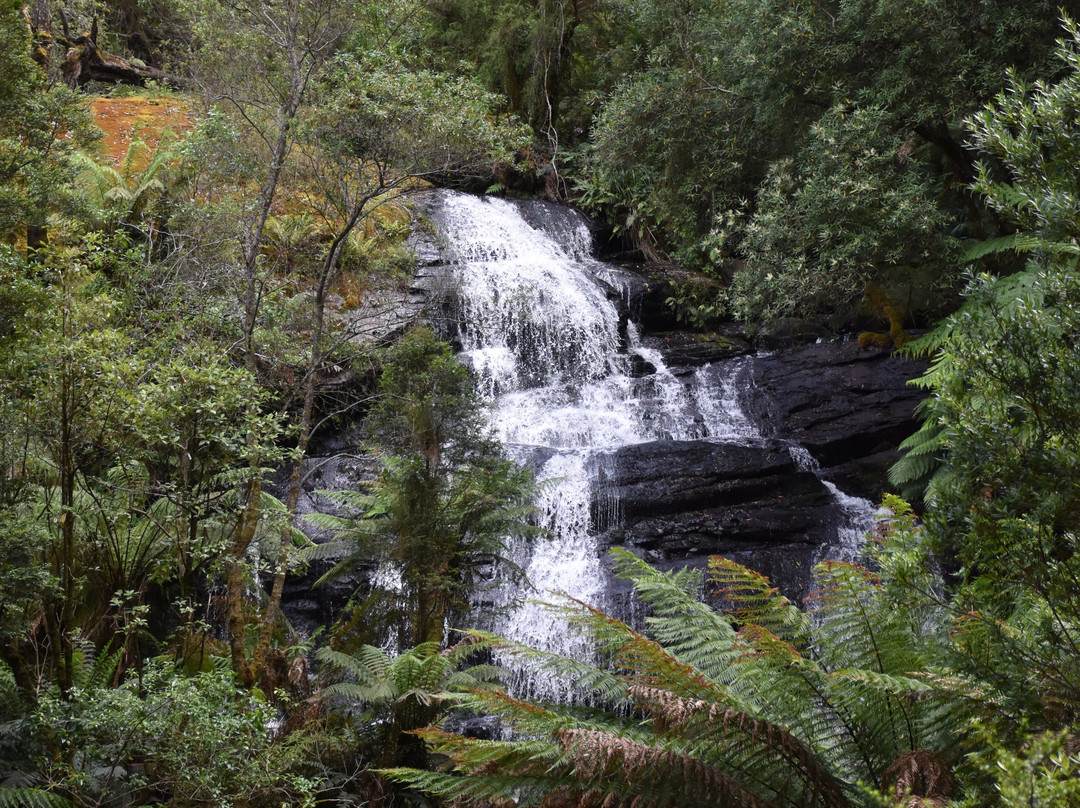 Triplet Falls-Beech Forest必去景点