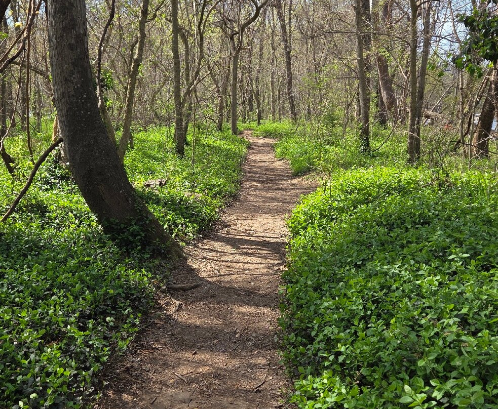 Pony Pasture Park (James River Park System)-里士满必去景点