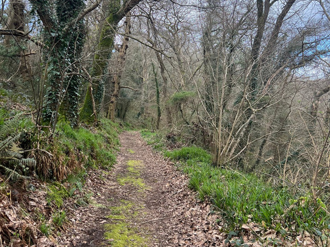 Slapton Ley Field Centre-Slapton必去景点