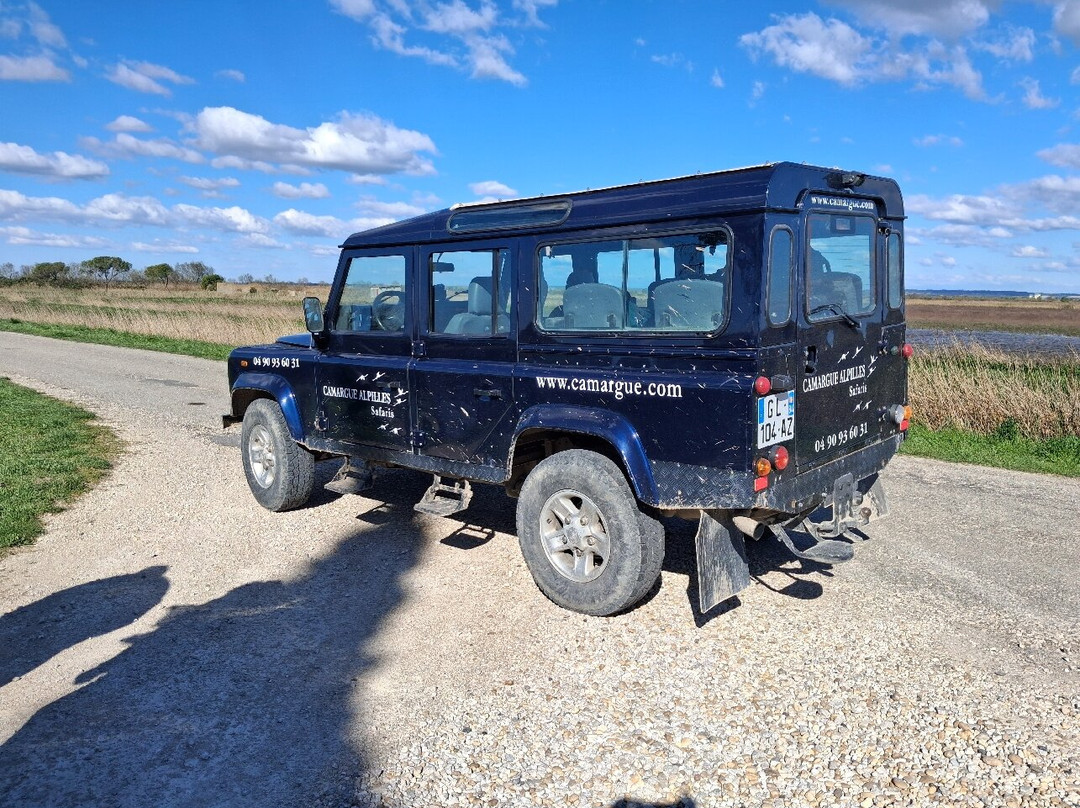 Camargue Alpilles Safaris-阿尔勒必去景点