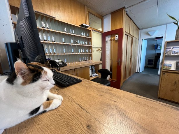 阿勒格洛艾因西德伦酒店-官方