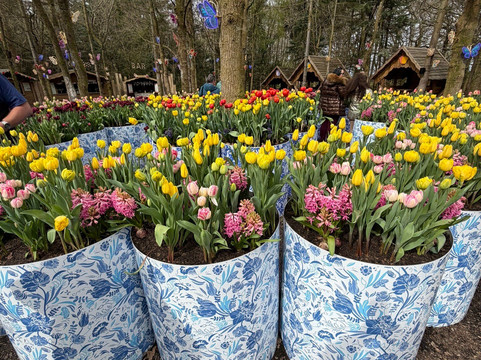 Tulleys-Turners Hill必去景点