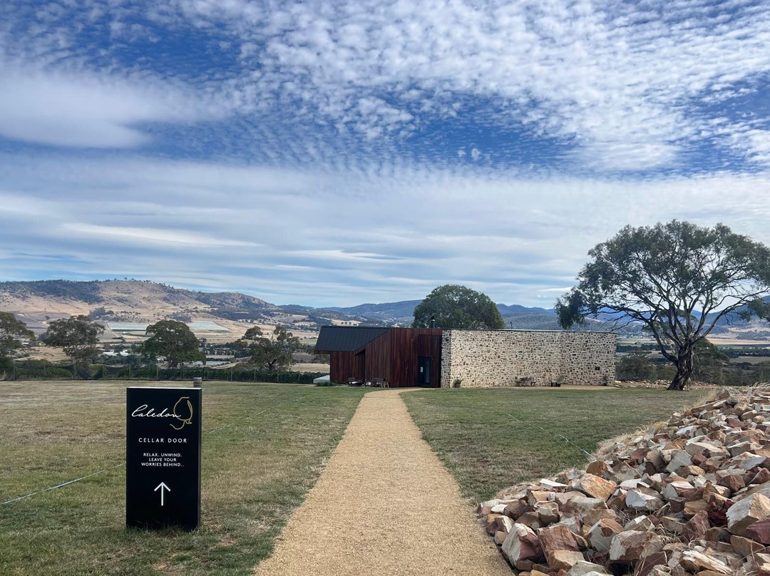 Caledon Estate Vineyard-Richmond必去景点