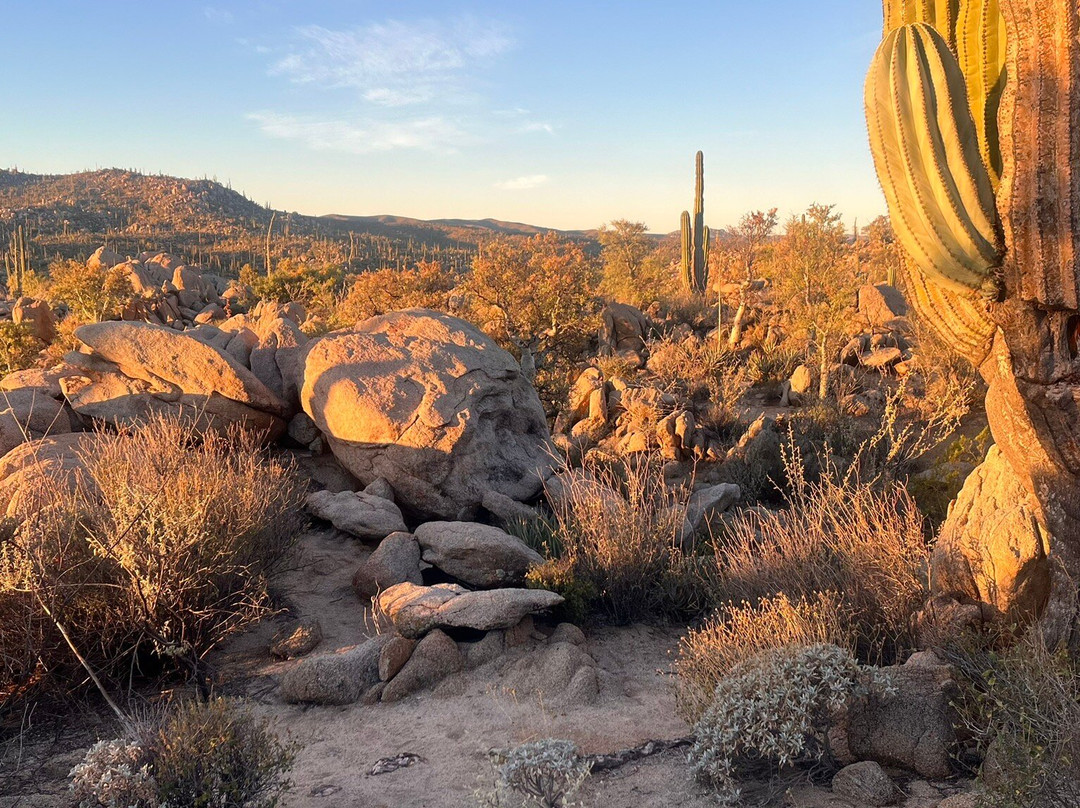 卡塔维纳米申酒店主图