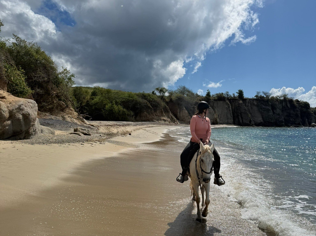 Esperanza Riding Company-维切克岛必去景点
