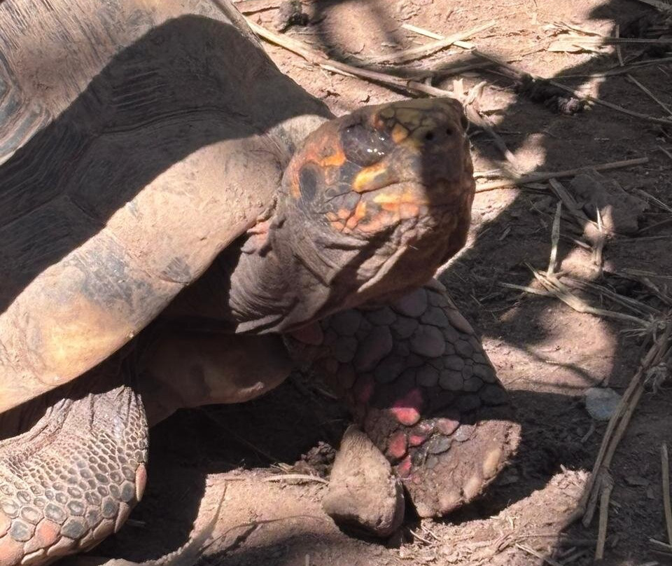 Refugio Zoologico-Samaipata必去景点