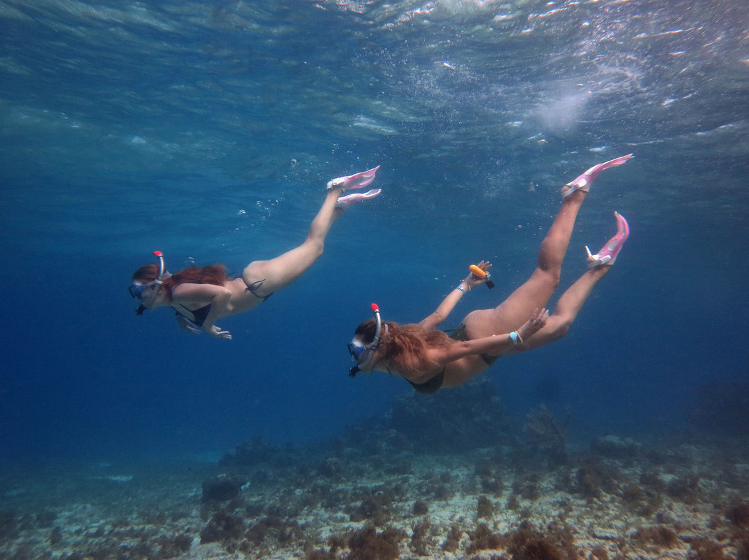 Caribe Extremo-圣安德烈斯必去景点