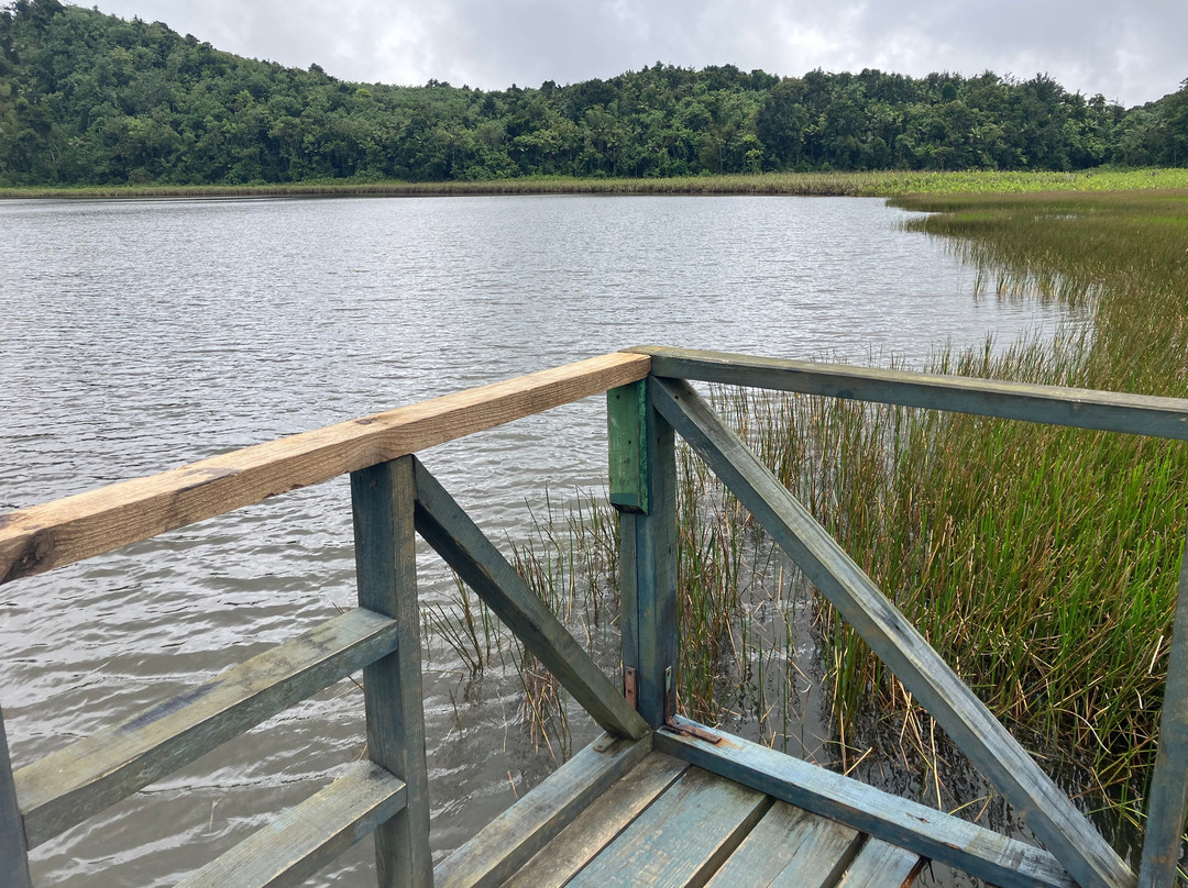 Grand Etang Lake-Grand Etang National Park必去景点