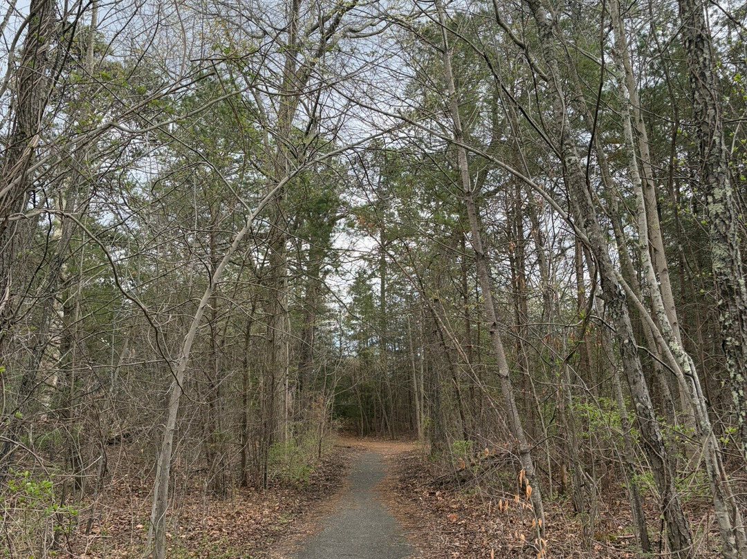 Tall Pines State Preserve-Sewell必去景点