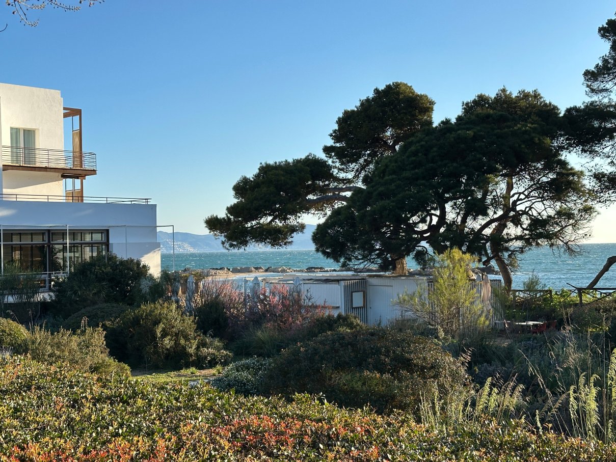 安普利耶斯旅馆-官方