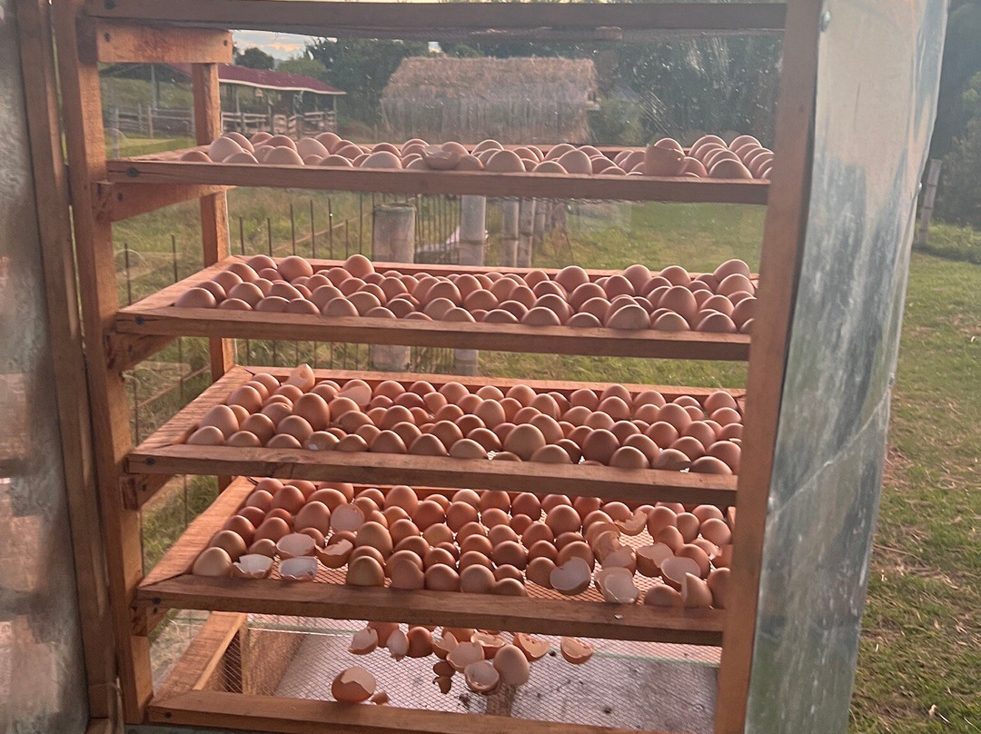 La Huerta Hotel主图