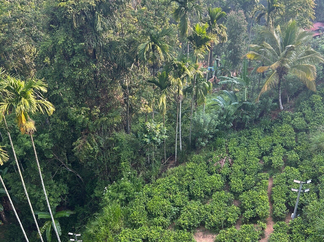 Risi Travels-加勒必去景点