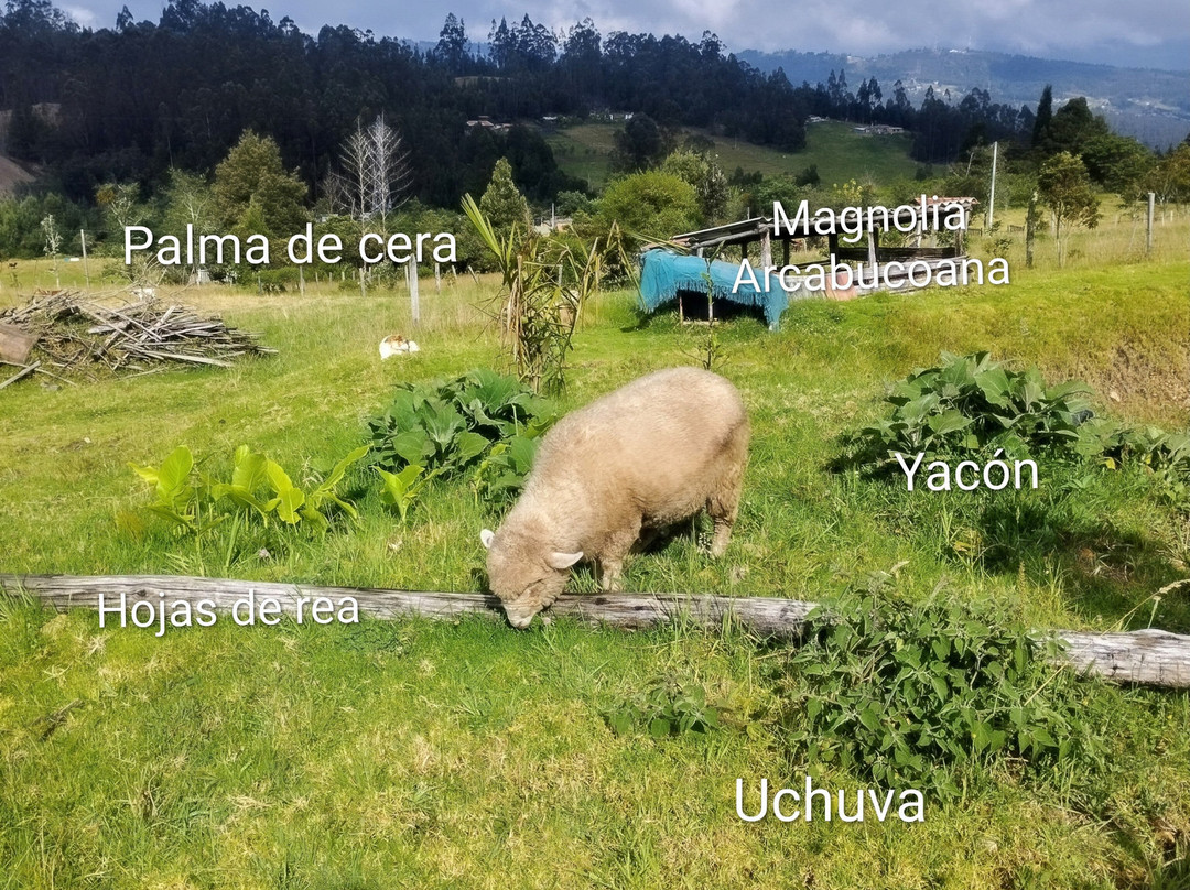 El Tabe, Saber y Sabor Artesano-Paipa必去景点