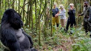 Gecko Safaris Rwanda - Day Tours-吉佳利必去景点
