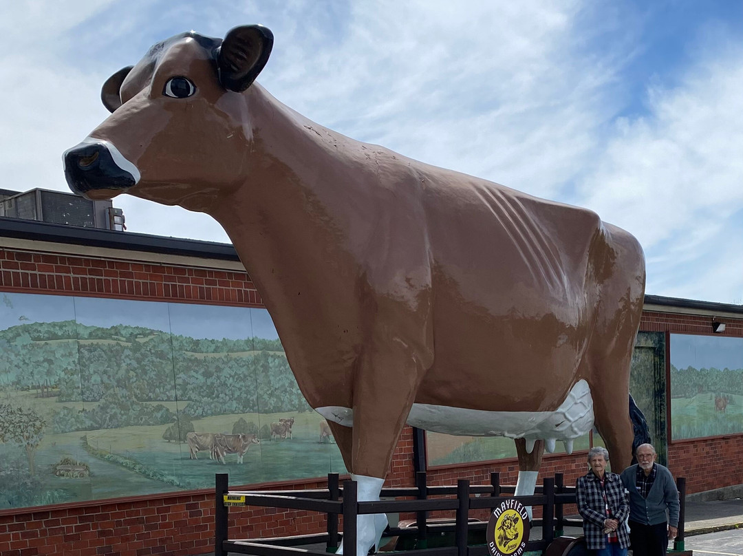 Mayfield Dairy Farm-Athens必去景点