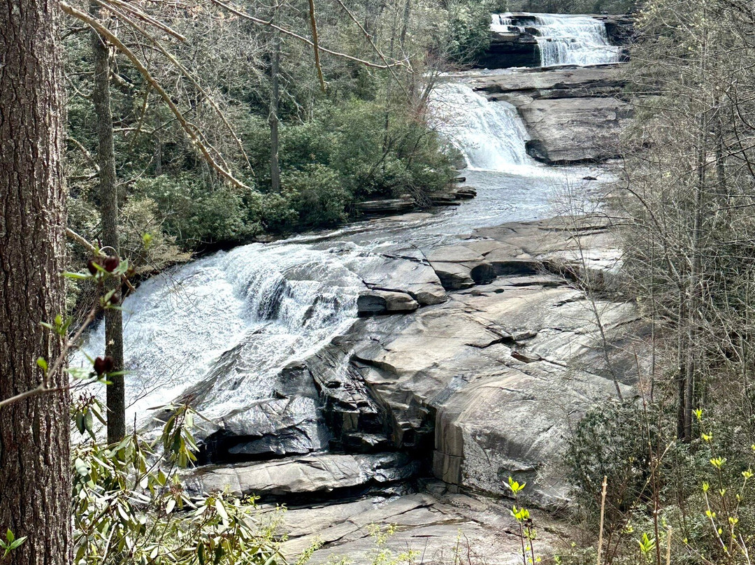 DuPont State Recreational Forest-Cedar Mountain必去景点