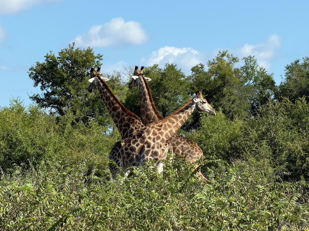 Touched By Nature-雾观必去景点