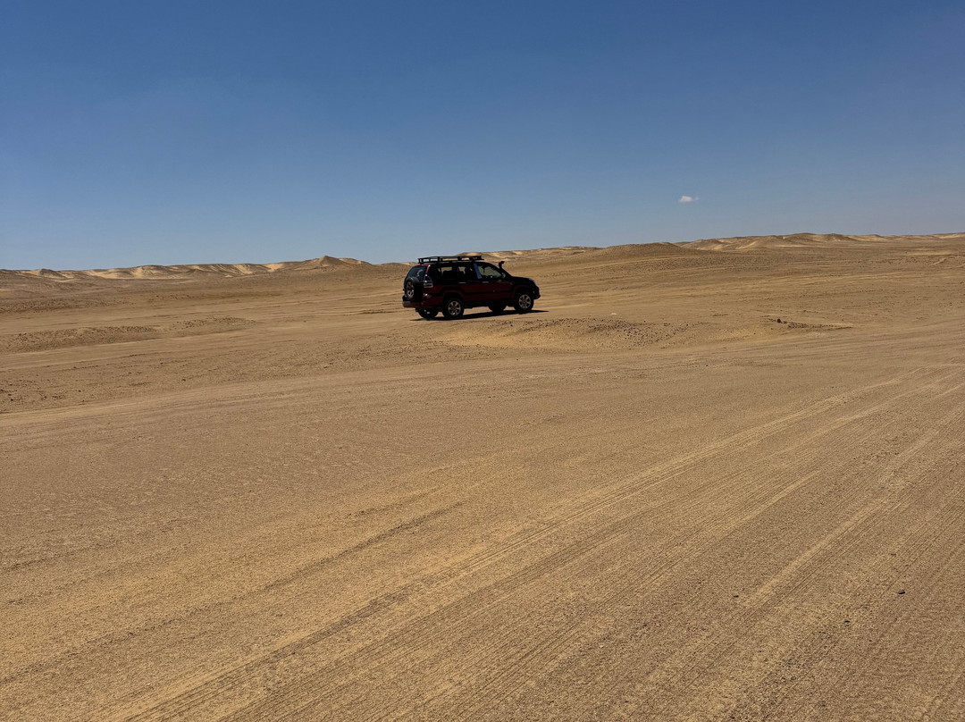 Cairo Top Tours-开罗必去景点