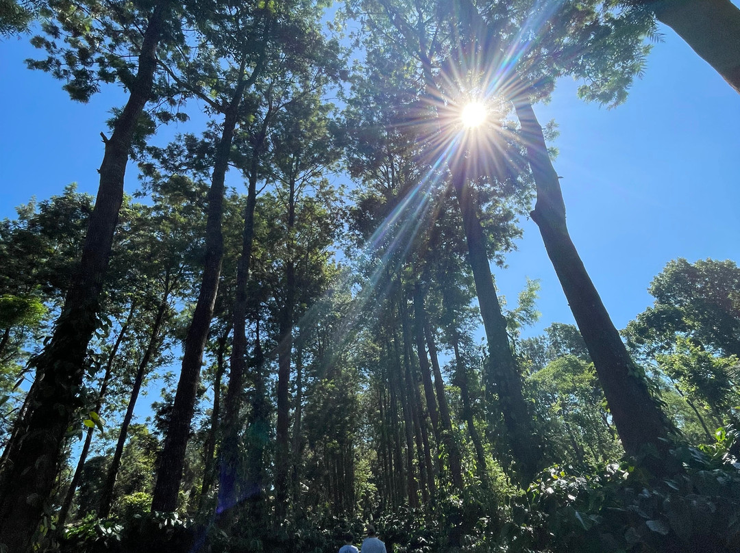 果儿古回归原始酒店主图