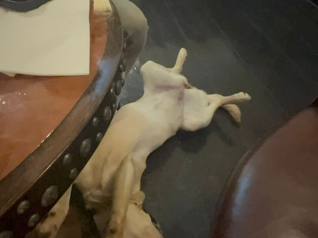 贝尔因特尔之家酒店主图