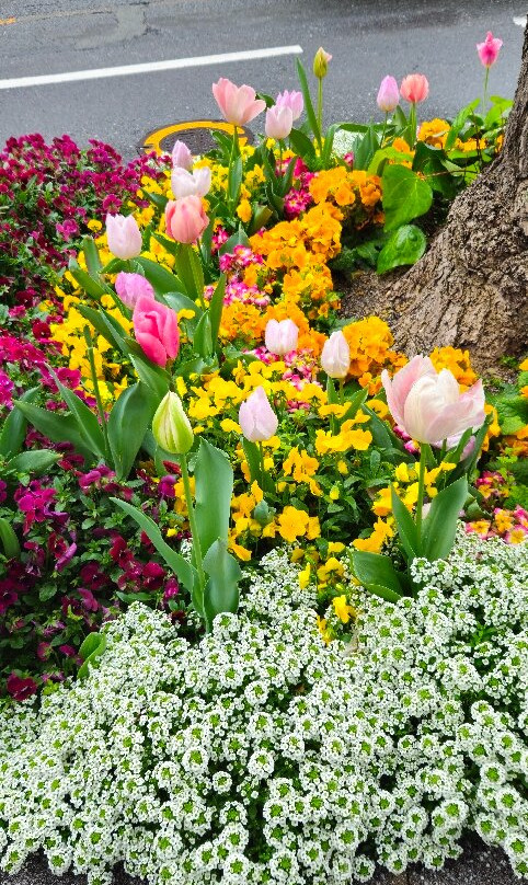 博多车站-Hakata必去景点