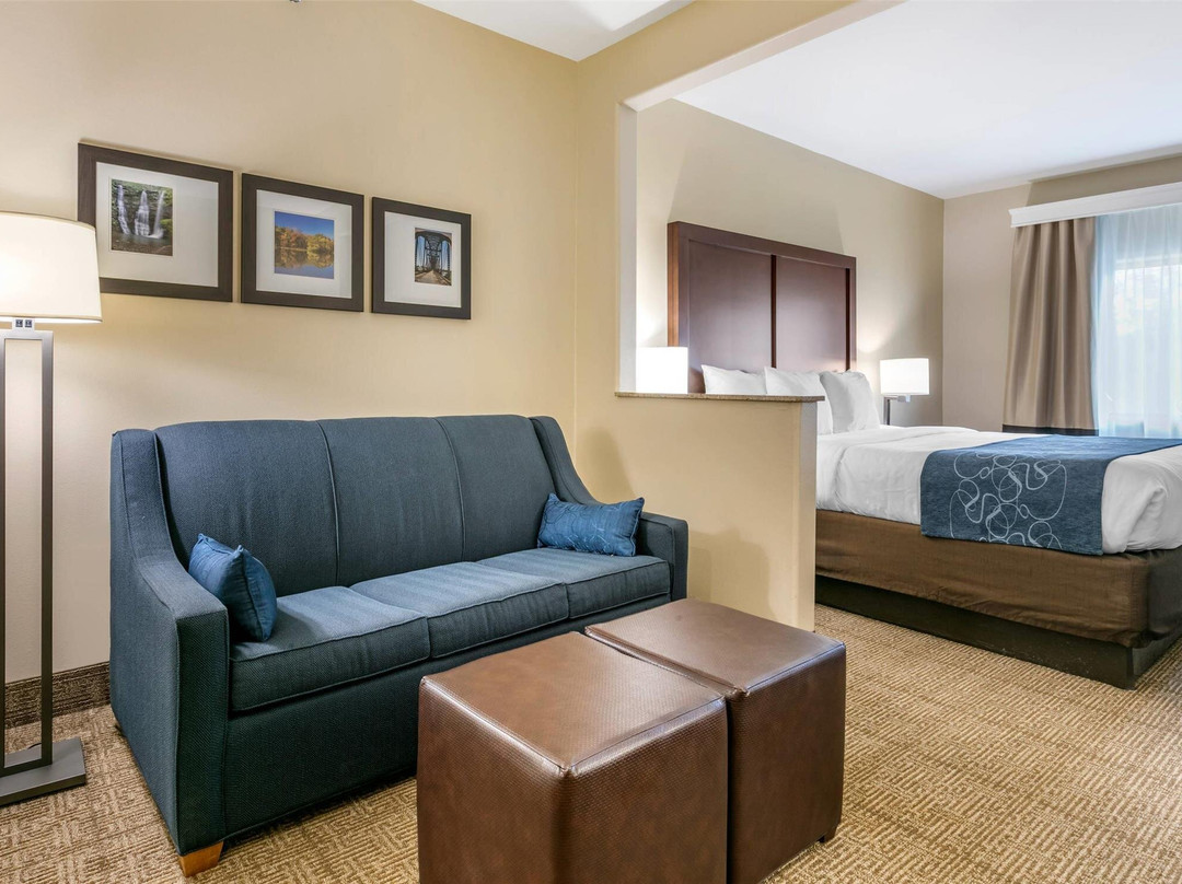Evening Shade酒店住宿-Comfort Suites