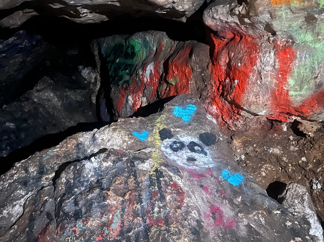 Dames Cave-Lecanto必去景点