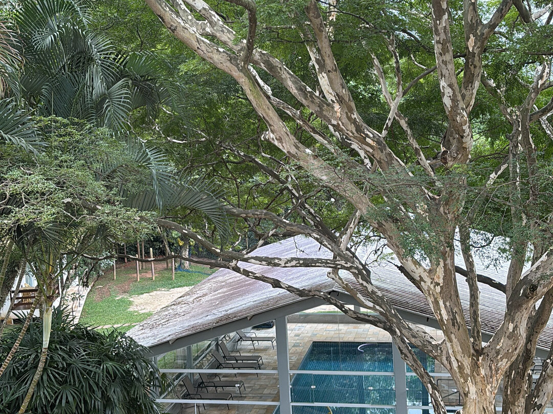 埃尔多拉多阿蒂巴亚生态度假村主图