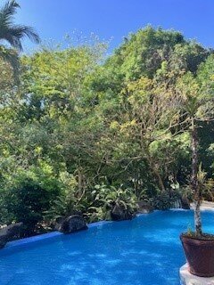 Pumilio 山及海洋酒店-旅行者