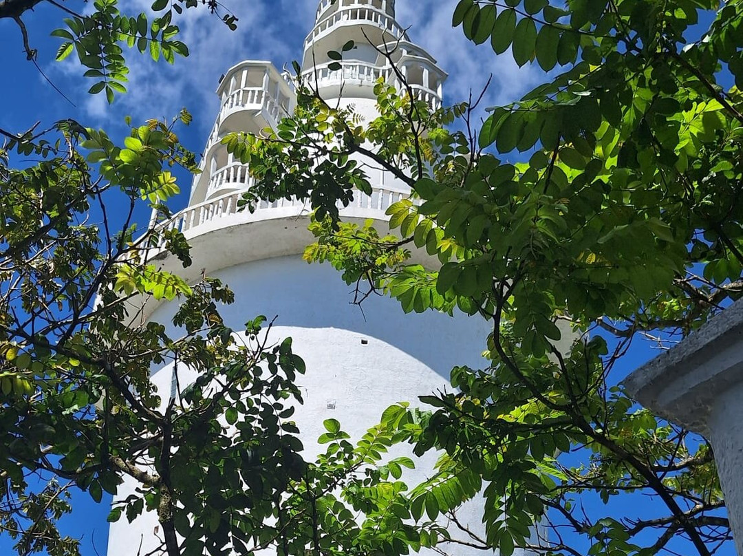 Private Tour Driver Sri Lanka-康提必去景点