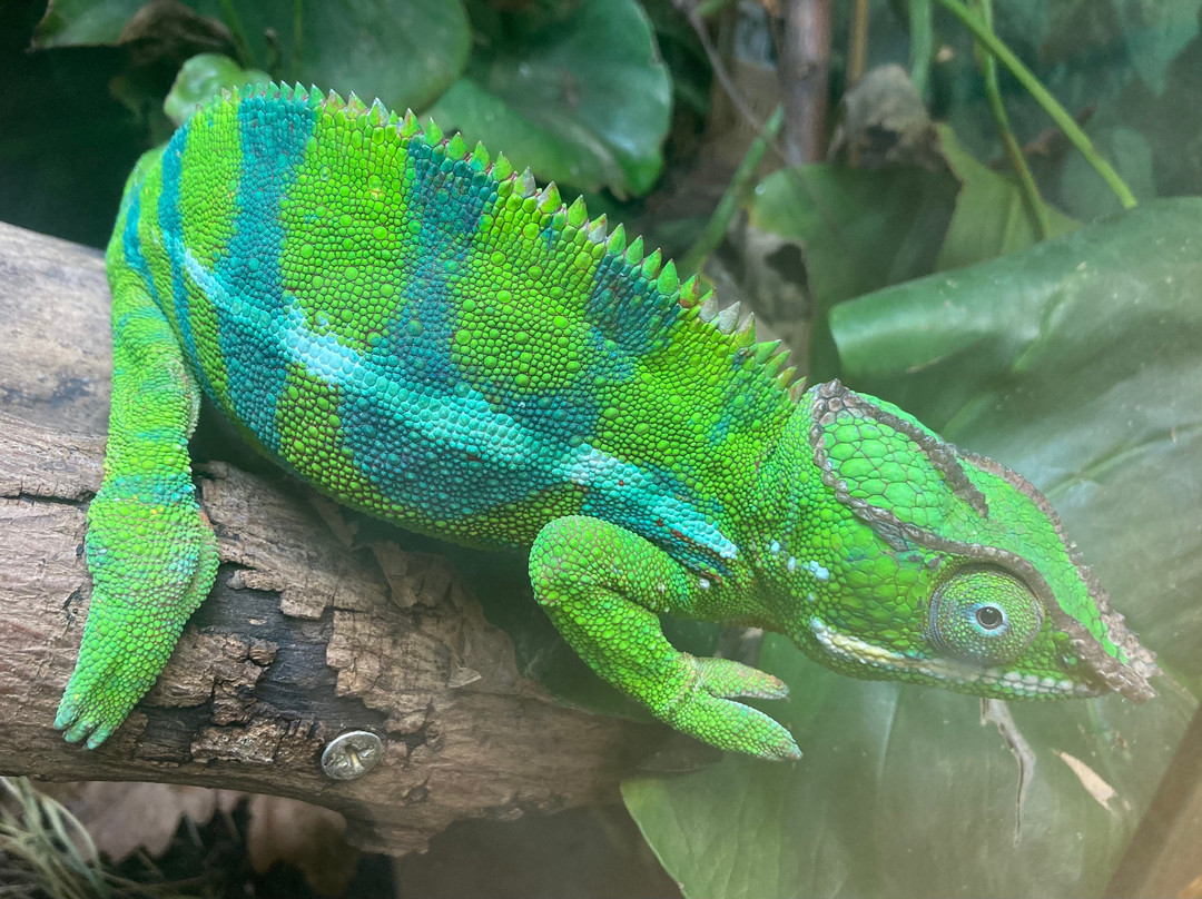 Northumberland College Zoo-Ponteland必去景点