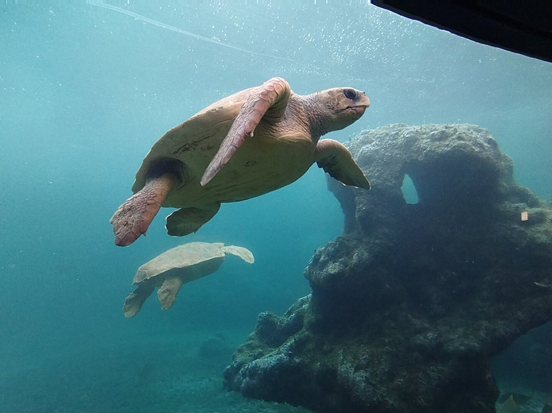 克里奥尔酒店主图