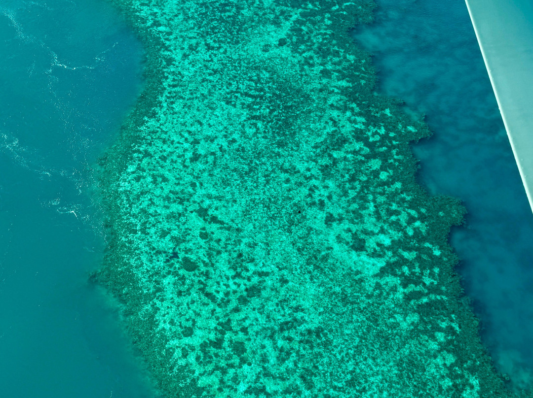 Fly Australia Charter-悉尼必去景点